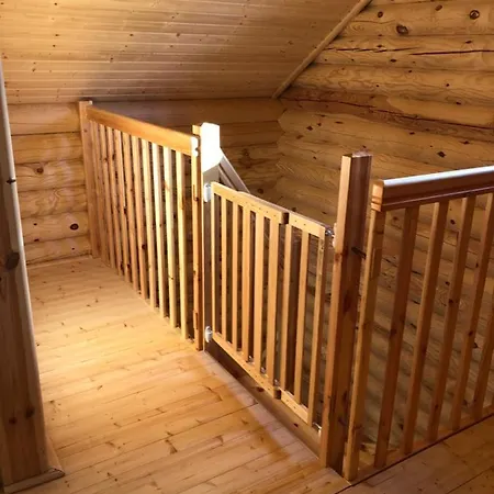 Boomstamhuis High Chaparral *