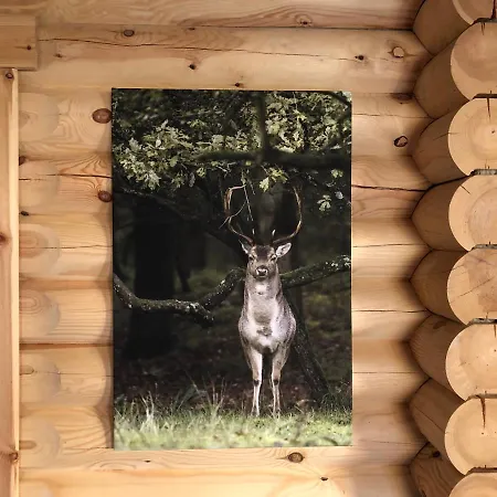 Kompleks wypoczynkowy Boomstamhuis High Chaparral