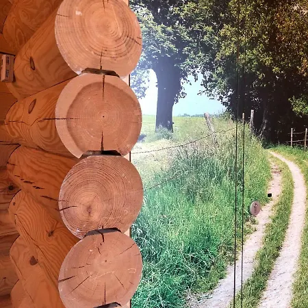 Boomstamhuis High Chaparral