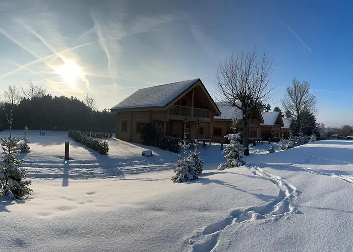 Village de vacances Boomstamhuis High Chaparral Oorsbeek