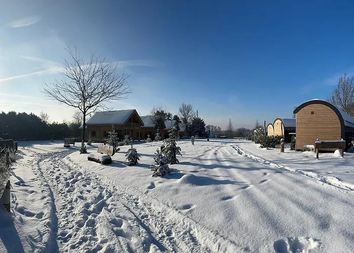 منتزه العطل Boomstamhuis High Chaparral