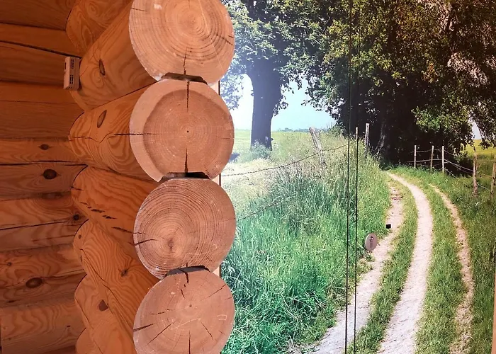 Boomstamhuis High Chaparral