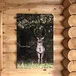 Village de vacances Boomstamhuis High Chaparral