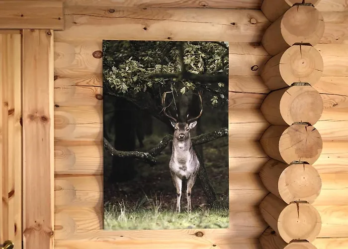 Parco vacanze Boomstamhuis High Chaparral