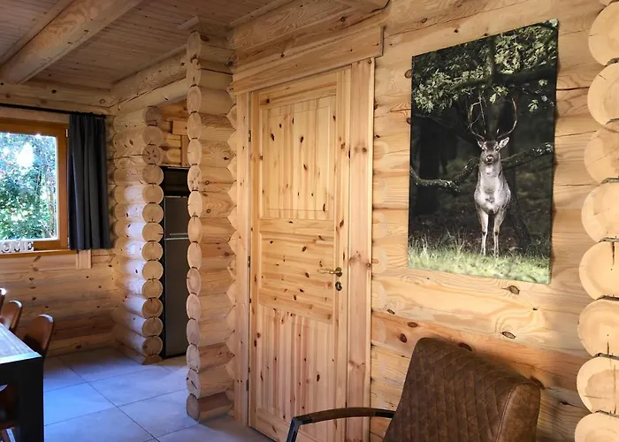 Boomstamhuis High Chaparral